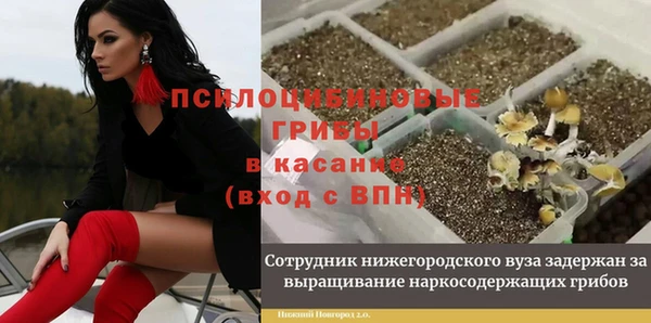 герыч Аркадак