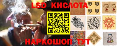 дживик Гай
