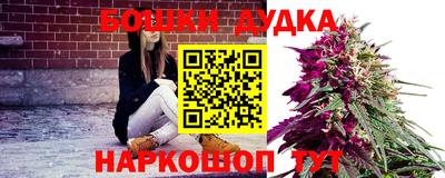 дживик Гай